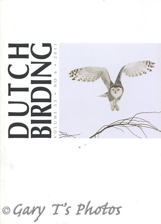 Dutch Birding-Volume 33 No.6 2011