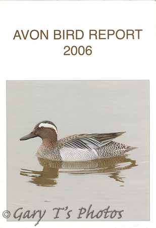Avon Bird Report-2006