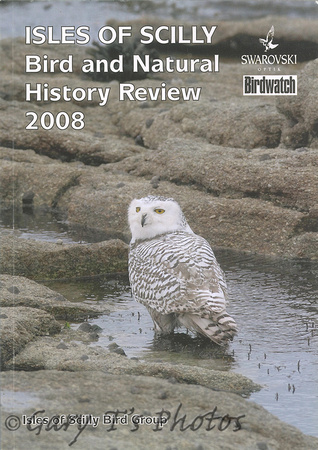 Isles of Scilly Bird Report-2008