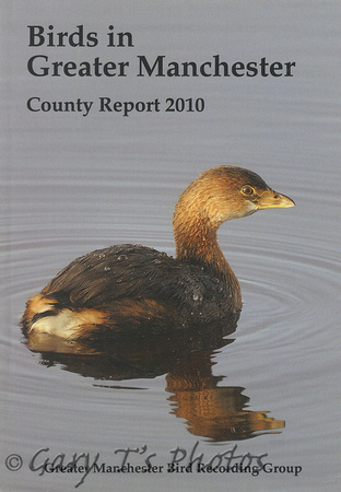 Greater Manchester Bird Report-2010