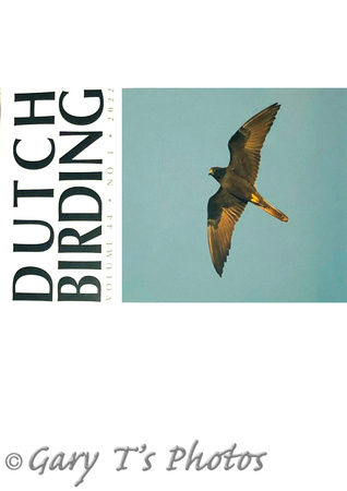 Dutch Birding-Volume 44 No.1 2022