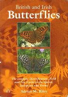 British & Irish Butterflies by Adrian Riley