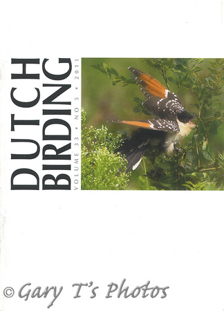 Dutch Birding-Volume 33 No.5 2011