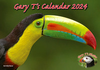 Calendar 2024 - Costa Rica