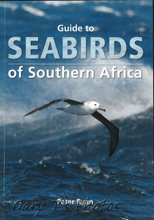 Seabirds of Southern Africa