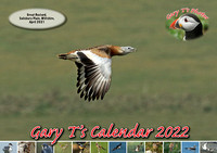 Calendar 2022 - Common & Scarce Birds
